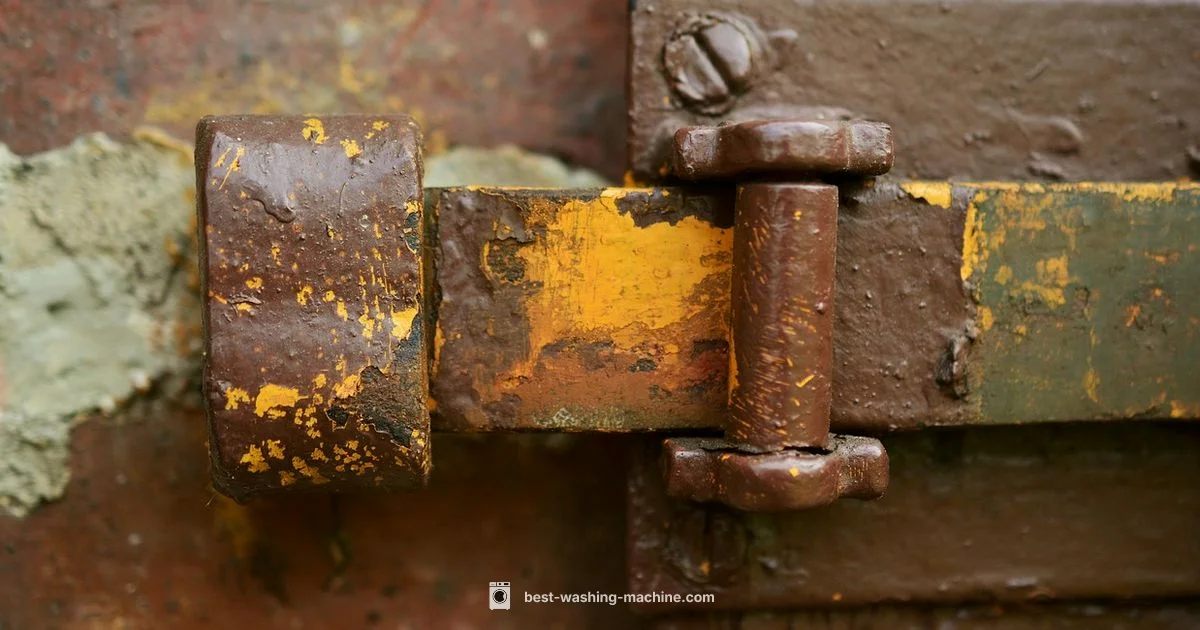 Door Lock Fix Door Lock Fix - Best Washing Machine