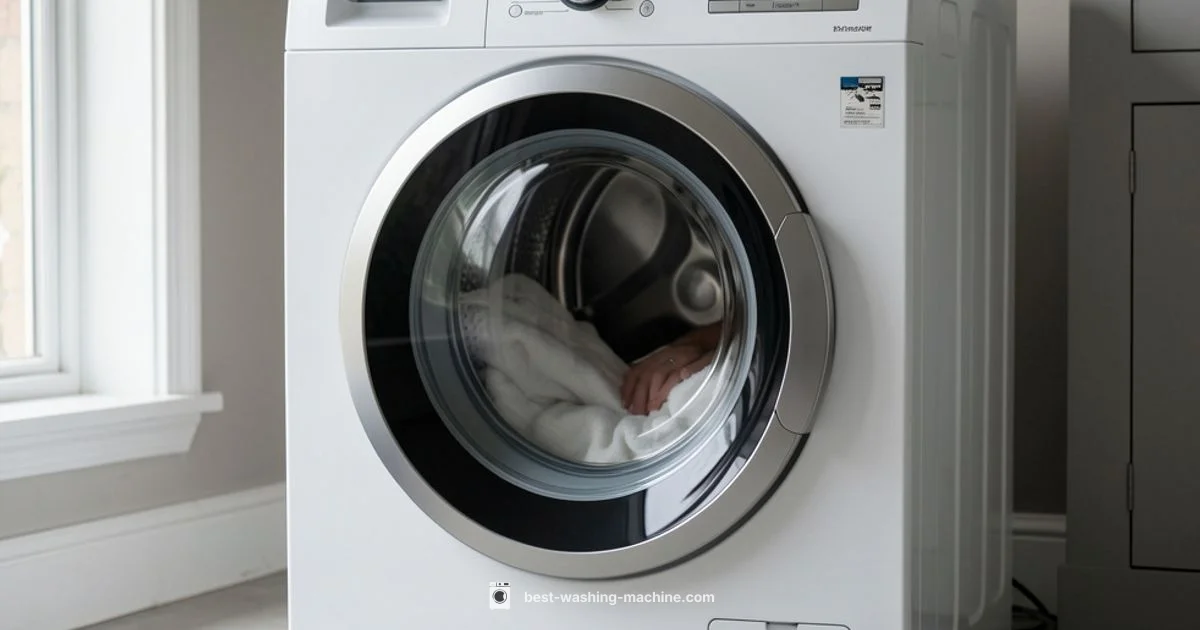 Washing Machine Heart - Best Washing Machine