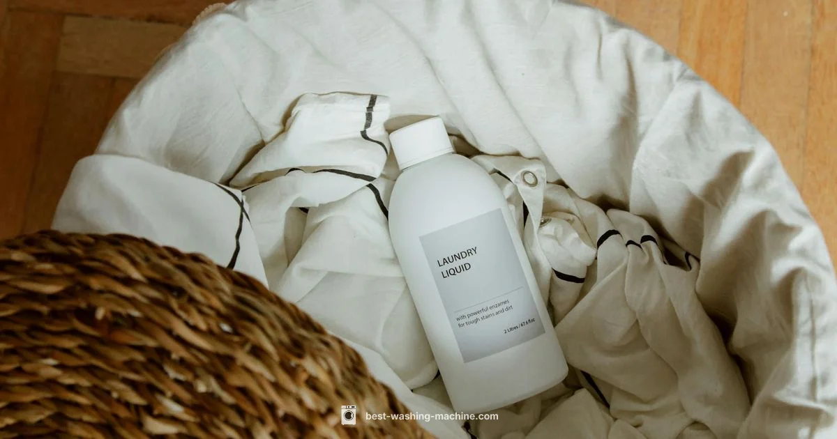 Drain Snake Guide - Best Washing Machine