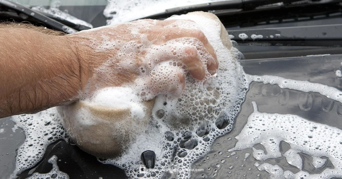 Cleaning Schedule Cleaning Schedule - Best Washing Machine