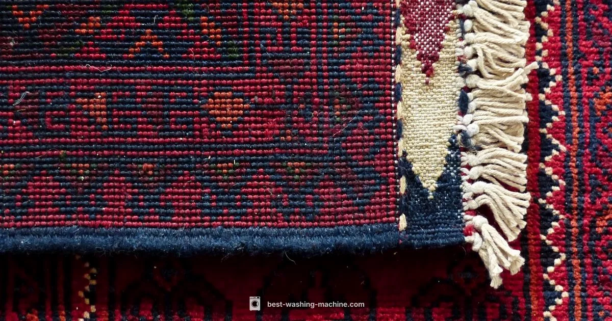 Carpet Care Guide - Best Washing Machine