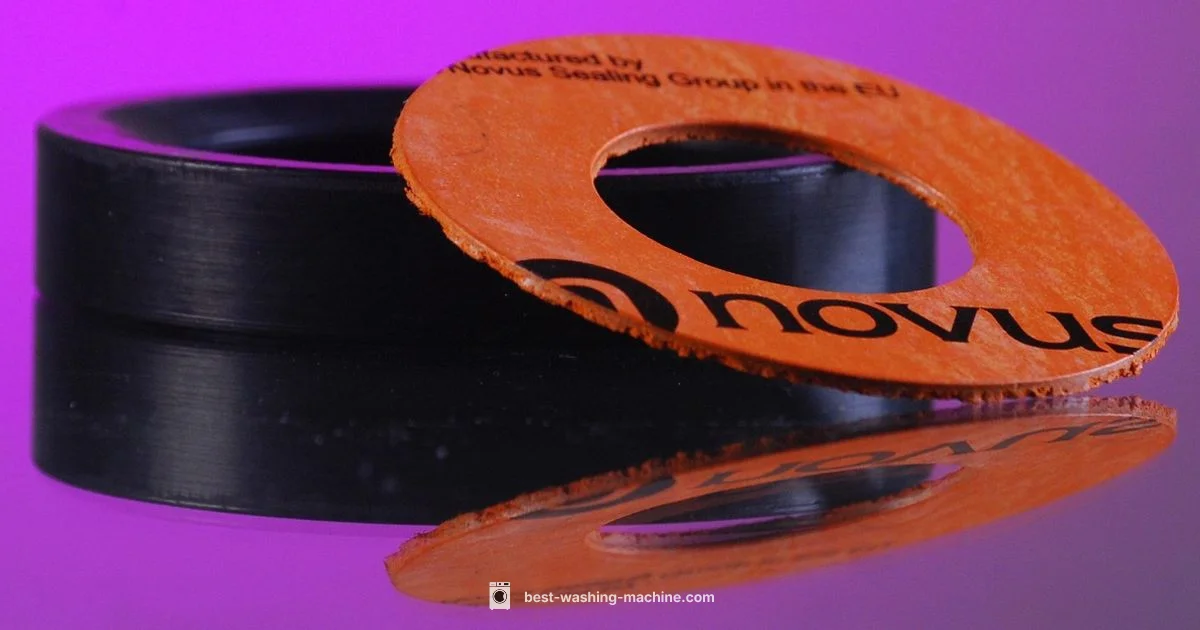 Washing Machine Gasket Replacement - Best Washing Machine