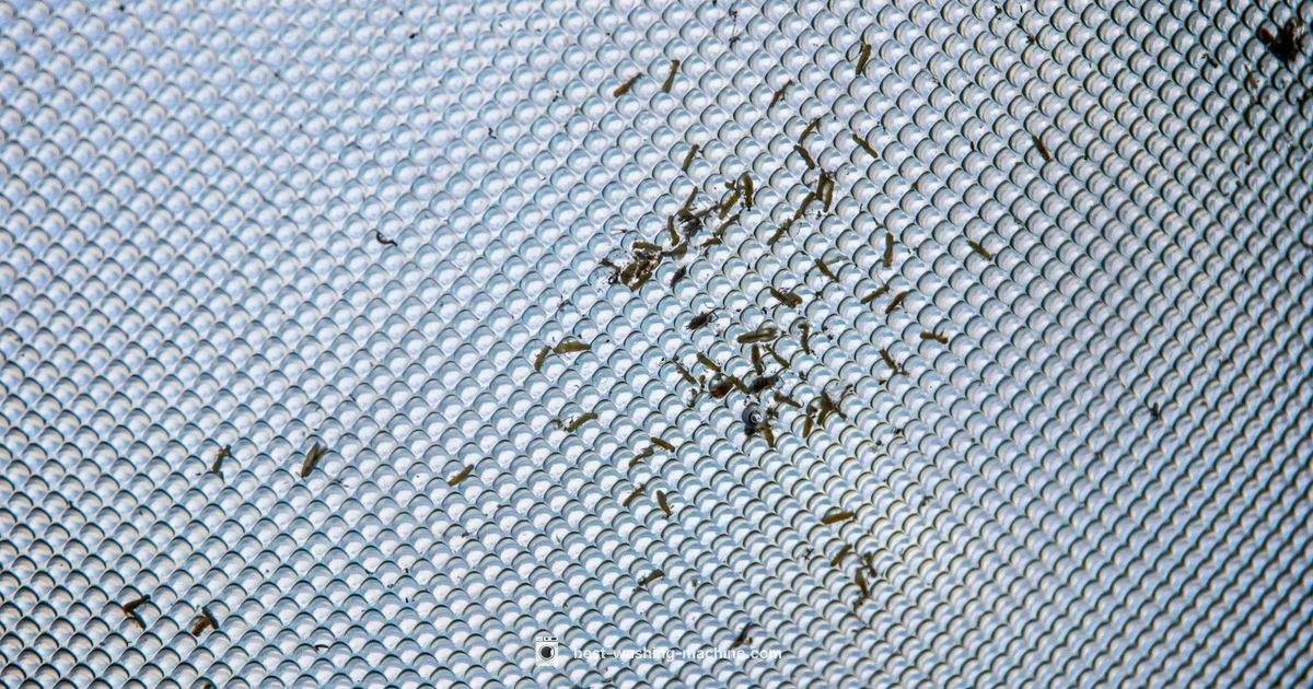 Lint Trap Guide Lint Trap Guide - Best Washing Machine