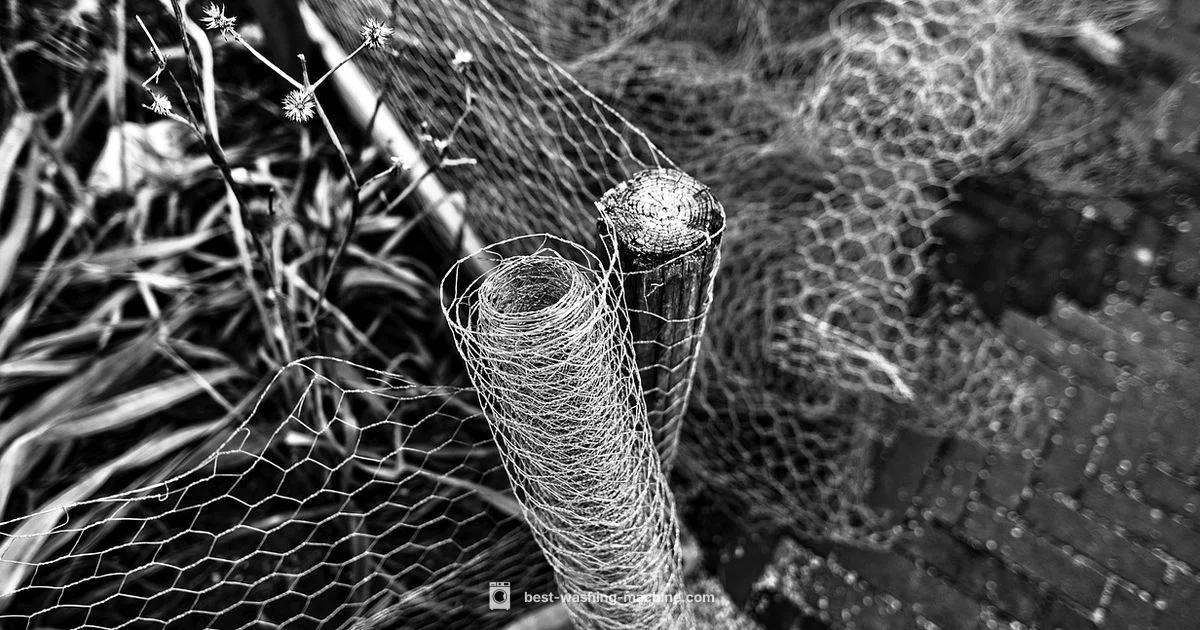 Hat Cage for Laundry - Best Washing Machine