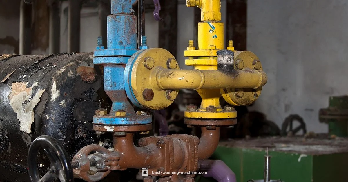 Valve Replacement - Best Washing Machine