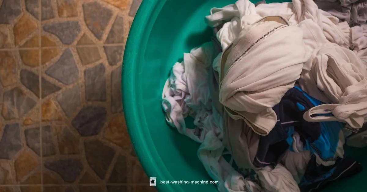 Paddle Fitting Guide - Best Washing Machine