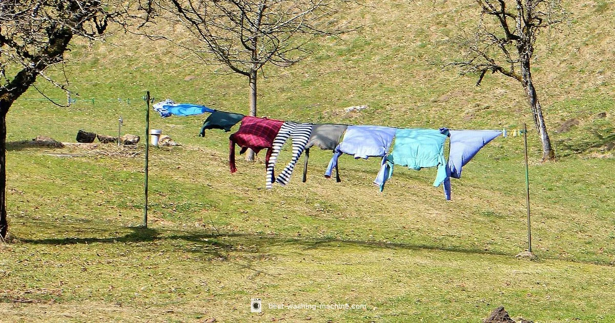 Does Washing Machine Kill Lice - Best Washing Machine