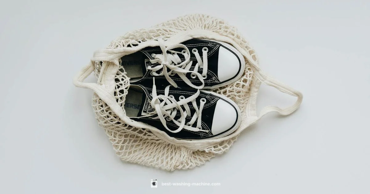 Shoe Bag Guide - Best Washing Machine