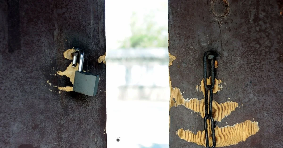 Tick Safety Wash - Best Washing Machine