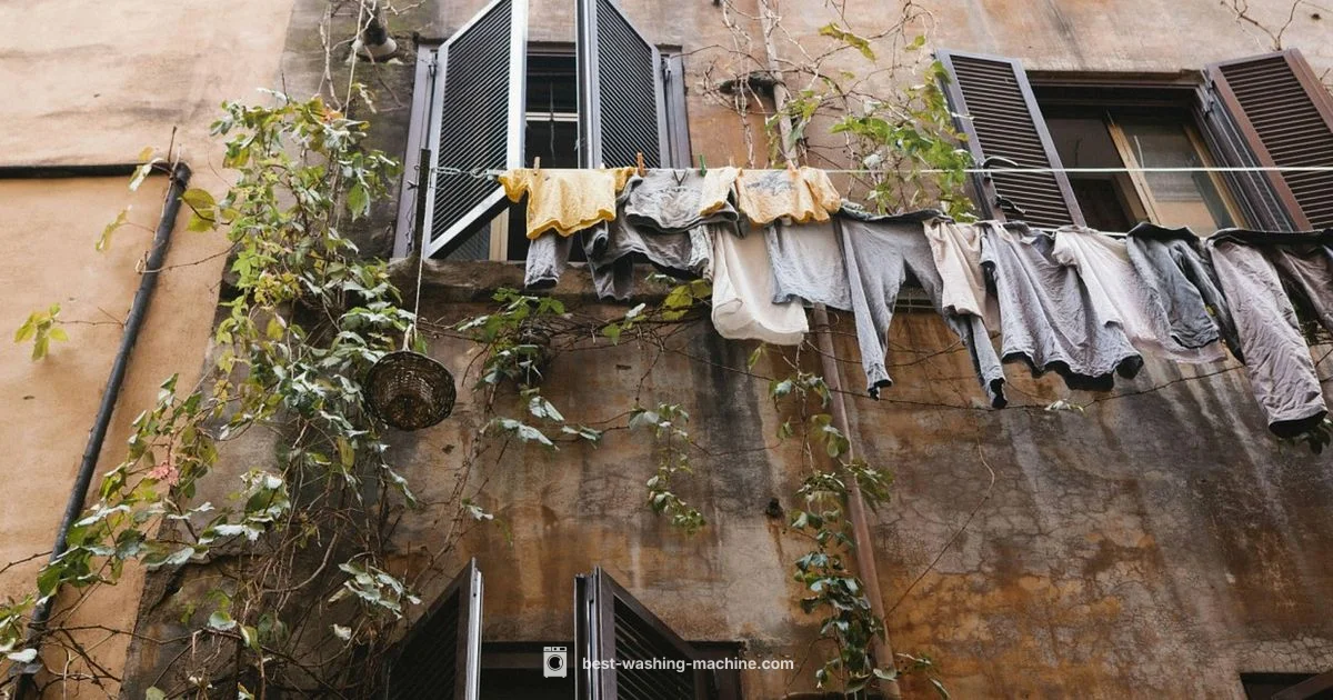 Budget Washer Guide - Best Washing Machine