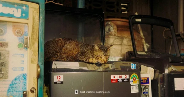 Level Your Washer - Best Washing Machine