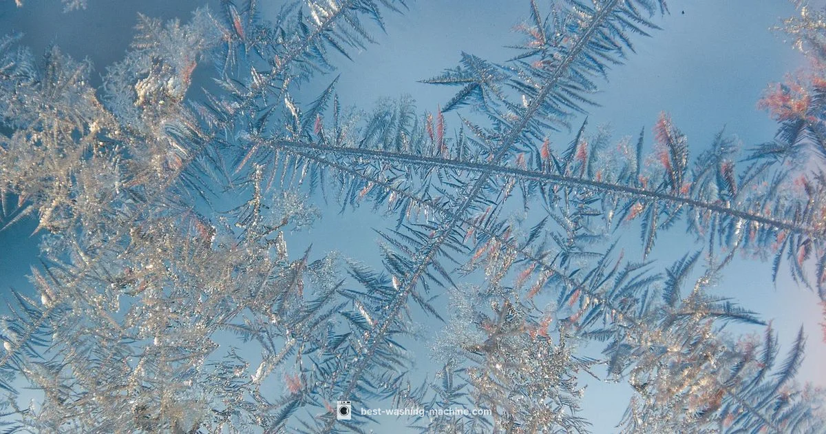 Winterize Your Washer - Best Washing Machine