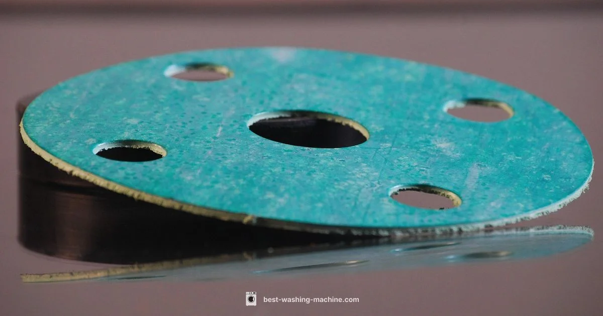 Gasket Replacement - Best Washing Machine