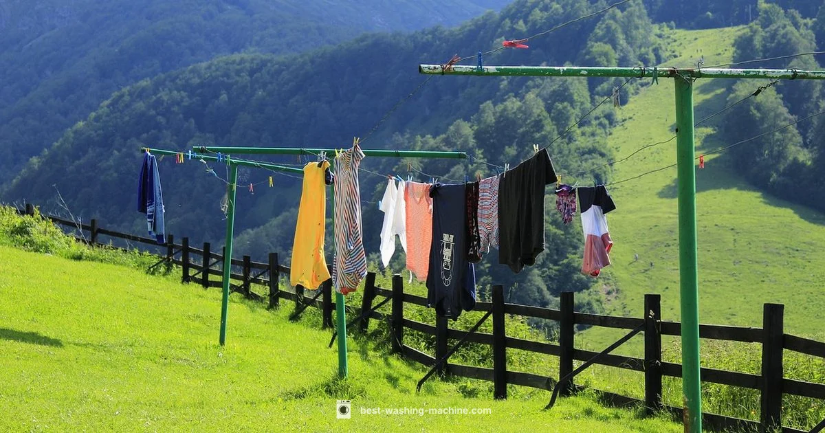 Drum Cleaning Guide - Best Washing Machine