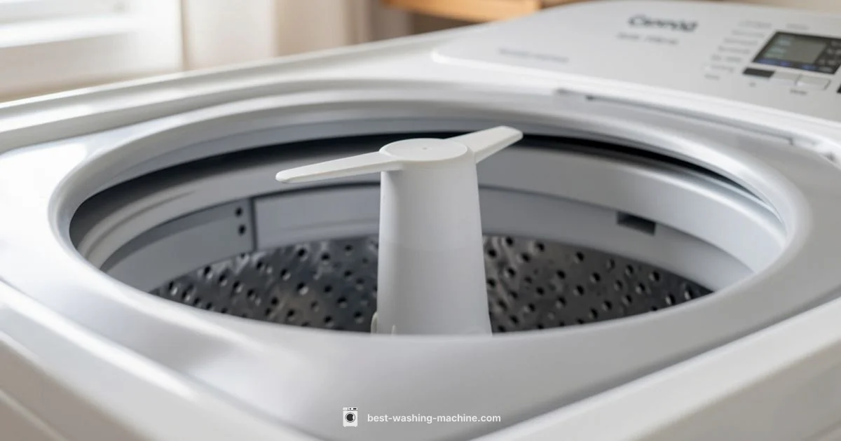 Agitator Dogs Explained - Best Washing Machine