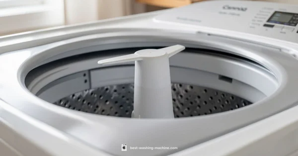 Agitator Dogs Explained - Best Washing Machine